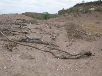 K2 (a site near Mapungubwe) Burial: Source: Jo-Anne Duggan