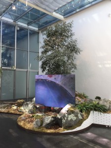 Installation View of Berlin Biennale 5