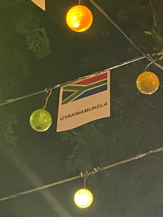 SA Flag