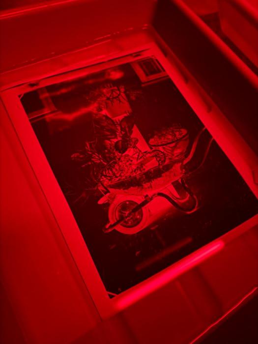 Darkroom print