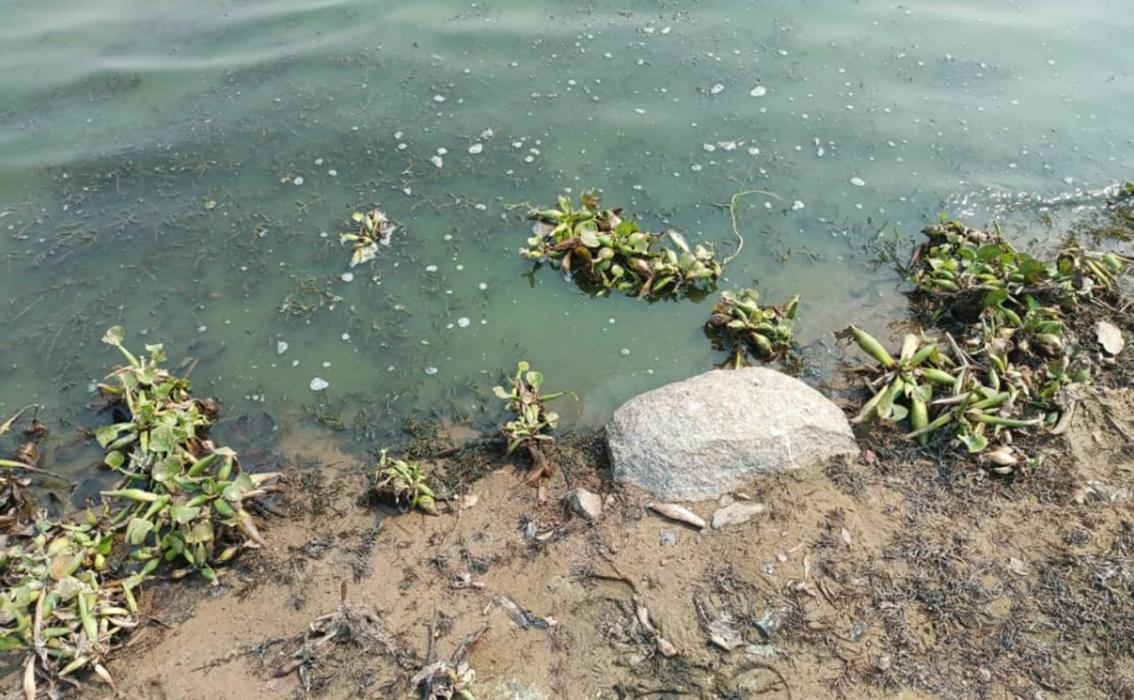 Lake Chivero, Zimbabwe