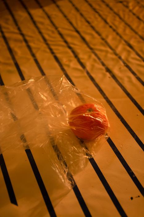 Margot Sheppard artwork