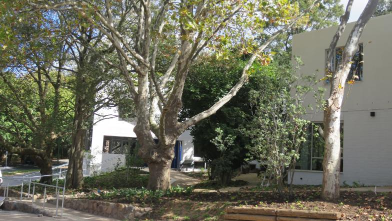 Neville Alexander Building