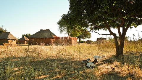 Exterior of family homestead in remote village in Zambia. Stock photo