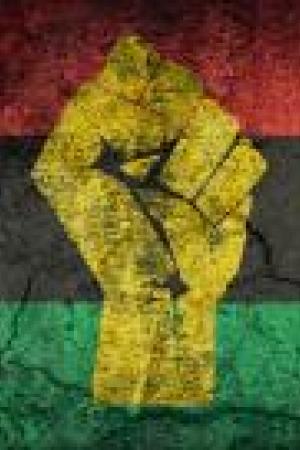 Reimagining Pan-Africanism: Continuity and contestation in the 21st century