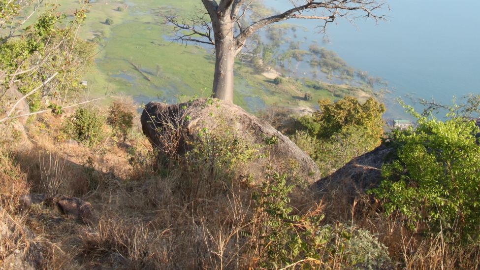 Habitability in Africa's