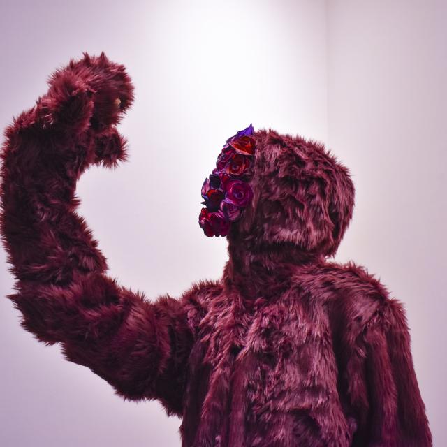 Parker Donaldson Artwork