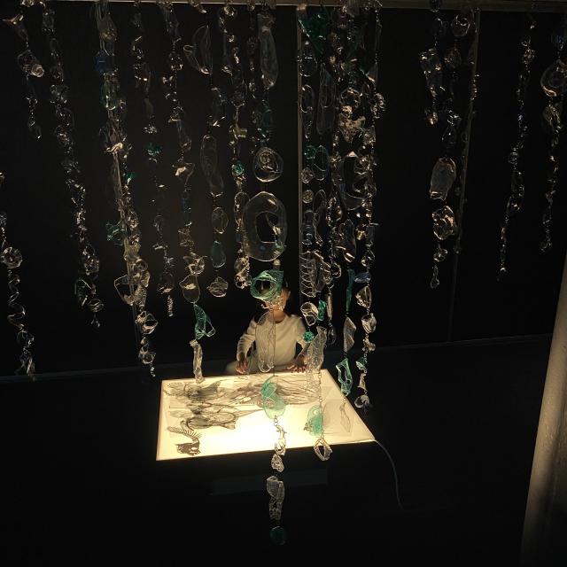 Environmental elective 2 