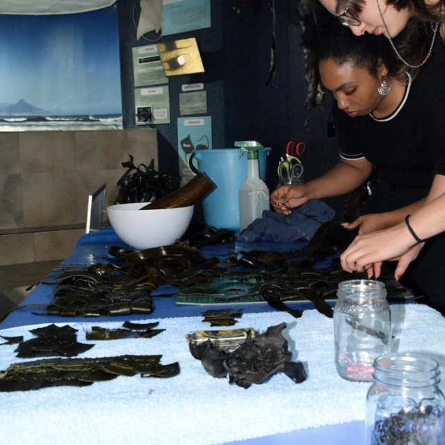 3rd Year students at work